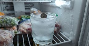 Coloque uma moeda no freezer antes de viajar: o truque simples revela se os alimentos descongelaram durante uma queda de energia