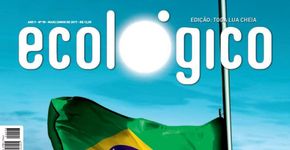 Semáforo de LED podem resolver “efeito fantasma”, quedas de energia e evitar o desperdício