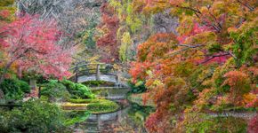 Foto: (Dean_Fikar/iStock)