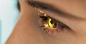 Foto: (Zorica Nastasic/istock)