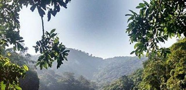 Açude do Camorim: um encontro na Amazônia carioca