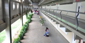 Foto: (Divulgação)