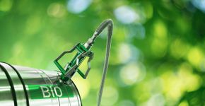 Foto: (Scharfsinn86/iStock)