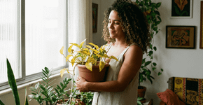 Como fazer o adubo caseiro que virou tendência porque ressuscita qualquer planta amarela