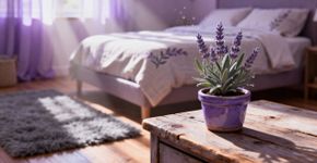 A planta que perfuma a sua casa e é muito fácil de cuidar