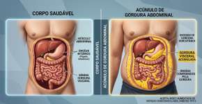 Gordura visceral: 3 estratégias baseadas na ciência para eliminar de vez