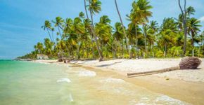 Confira um seleção de voos baratos para o Nordeste
