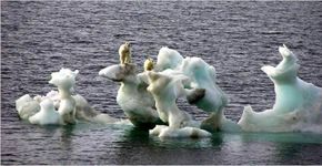 26 imagens para você começar a pensar em mudanças climáticas