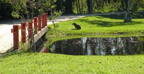 Parques no Rio: verdadeiros oásis em meio ao caos carioca