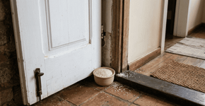 A simpatia com arroz cru atrás da porta que muita gente faz para atrair fartura