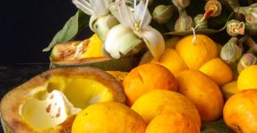 5 benefícios do pequi para a saúde e como prepará-lo