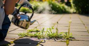 Esqueça os produtos químicos e o vinagre! Todas as ervas daninhas desaparecerão das pedras de pavimentação em 3 dias com este truque barato