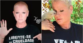 Foto: (Reprodução/Instagram)