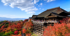 Foto: (iStock)