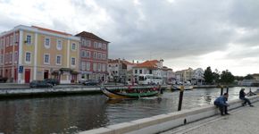 Foto: (Picasa)