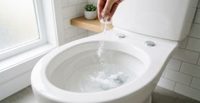 Jogar bicarbonato no vaso sanitário: para que serve e por que é recomendado