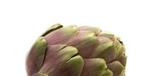 Alcachofra é um ótimo ingrediente para emagrecer