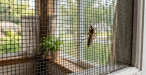 Adeus à teoria do “sangue doce”: um modelo 3D revela que o que atrai mosquitos é a nuvem de CO₂ que você exala e o contraste de cores das suas roupas, e a indústria de armadilhas para mosquitos já está se adaptando rapidamente