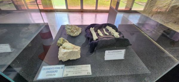Fósseis de dinossauros encontrados em Peirópolis