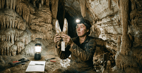 A criatura bizarra da maior caverna do mundo: o animal com dentes de garfo que dominava a escuridão do Kentucky