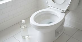 Jogar vinagre branco no vaso sanitário: para que serve e por que é recomendado