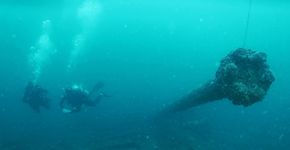 Foto: (Rafael Esteves/Captain Dive)