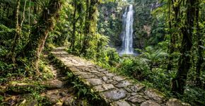 Uma caminhada de cerca de 50 quilômetros em três dias, cachoeiras e trechos de calçamento dos tempos da Coroa: a travessia histórica que cruza a Serra da Bocaina entre São Paulo e Rio de Janeiro