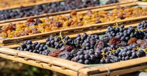Por que as uvas secas são chamadas de “passas”?