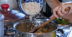 Foto: (Bruno Netto/istock)