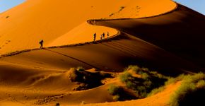 Foto: (FernandoQuevedo/iStock)