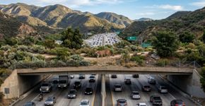 Houston construiu uma rodovia de 26 faixas para acabar com o trânsito, mas os carros voltaram e expuseram a armadilha das vias mais largas