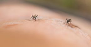 Foto: (Kuntalee Rangnoi/istock)