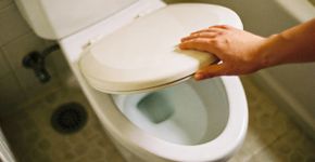 Por que você nunca deve deixar a tampa do vaso aberta segundo o Feng Shui
