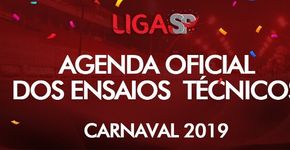 Assista a ensaios de Carnaval no Anhembi