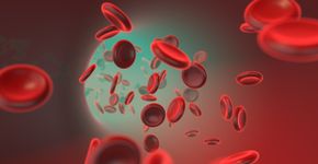 Foto: (jitendrajadhav/istock)
