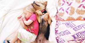 Fofura em dose dupla: Beau e seu cachorro Theo, dois meses depois