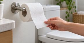 Como pendurar o papel higiênico: especialistas concordam que pendurar a folha com a face voltada para a frente promove a higiene e reduz o desperdício
