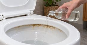 Um único ingrediente da cozinha é suficiente para desentupir um vaso sanitário: ele remove o calcário e os odores