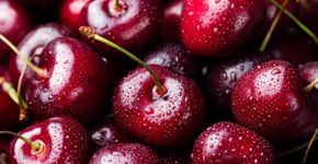 Foto: (Anna Pustynnikova/istock)