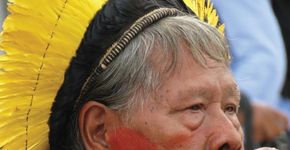 Foto: (Divulgação)