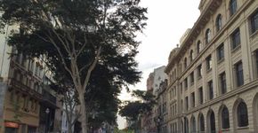Pesquisa: as reivindicações do Movimento Passe Livre são justas?