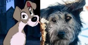 Foto: (Disney/Divulgação)