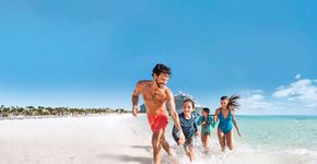 Foto: (Divulgação/MSC Cruzeiros)