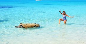 11 razões para conhecer a exótica ilha de Exuma, nas Bahamas
