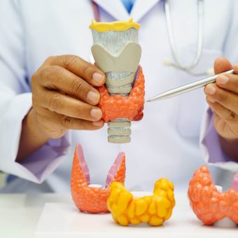 Featured mobile: Dia Internacional da Tireoide: 6 curiosidades sobre a glândula