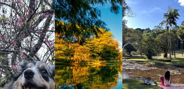 8 passeios ao ar livre para curtir com as crianças em SP