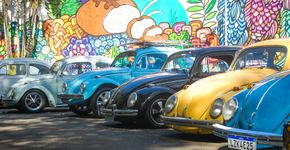 Com atrações para toda a família, encontro de carros antigos no Bosque do Povo acontece no domingo