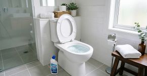 Por que colocam detergente dentro da privada antes de dormir? A solução simples para um problema comum no banheiro