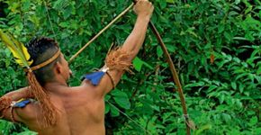 Arqueiros indígenas da Amazônia: tradição milenar ganha o mundo