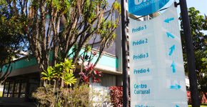 Foto: (Divulgação)